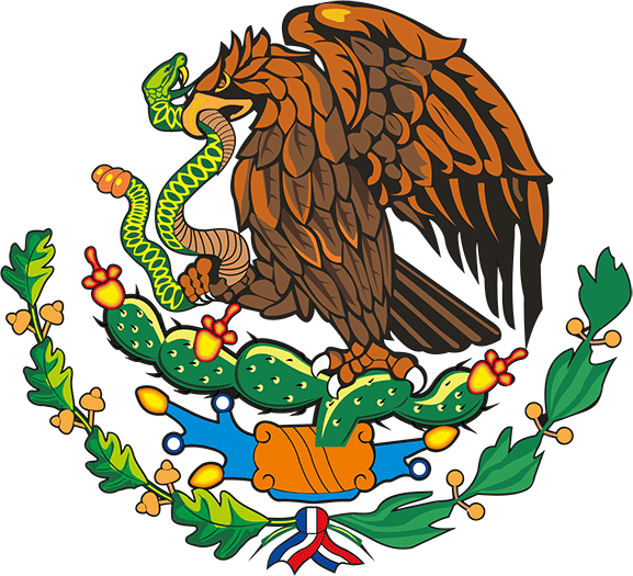 Premium IPTV Provider in Mexico